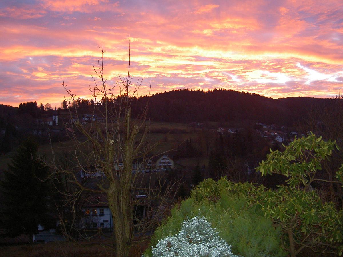 Ferienwohnung Haus Am Duerrberg "St. Georg" Warmensteinach Eksteriør billede